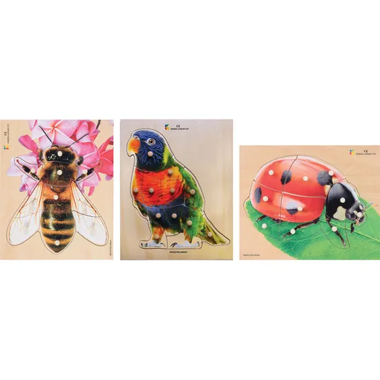 Wooden Knob Puzzle - Set of 3