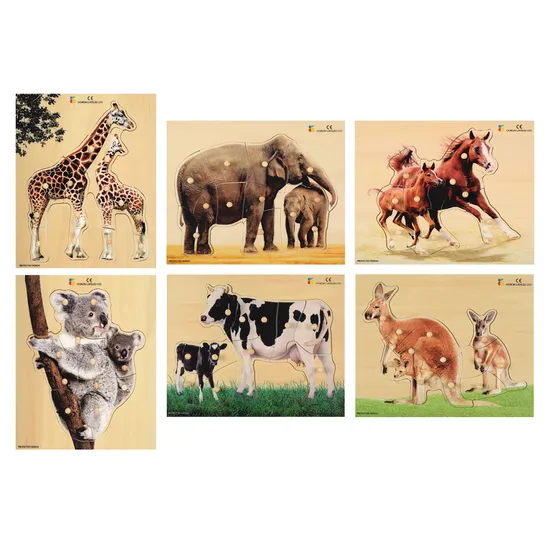 Doron Wooden Puzzle Set of 6