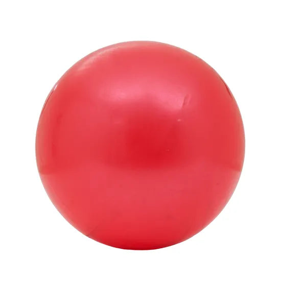 Budget PVC Balls - 22.5cm