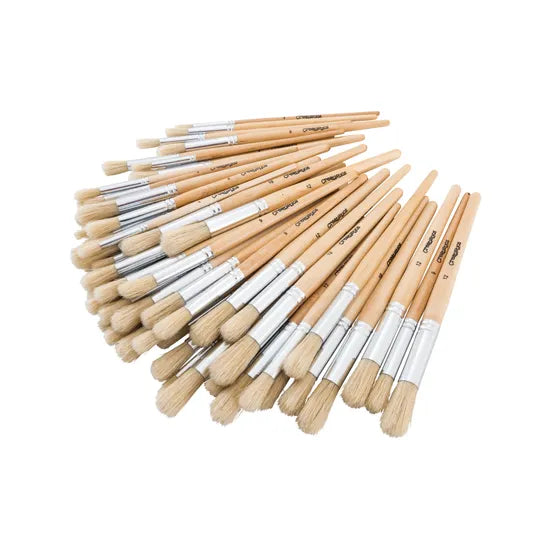 Round Brushes - Pack of 60 - Modern Teaching Aids NZ