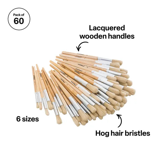 Round Brushes - Pack of 60 - Modern Teaching Aids NZ