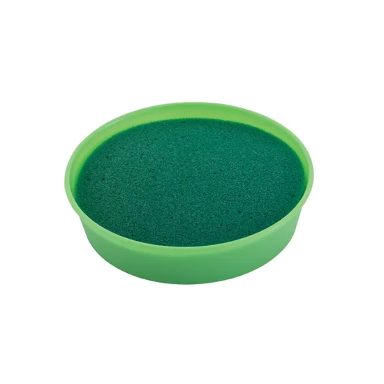 Coloured Round Sponges - Set of 6 - Modern Teaching Aids NZ