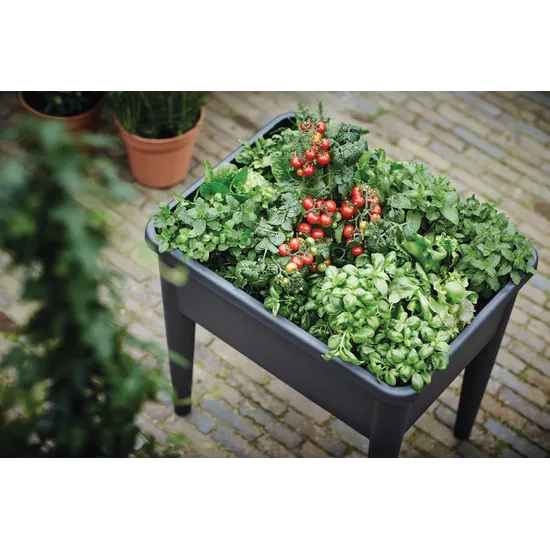 Green Basics Grow Table XXL Living Black - Modern Teaching Aids NZ