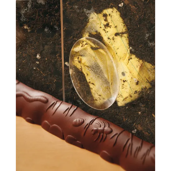 See-Through Compost Container - Modern Teaching Aids NZ