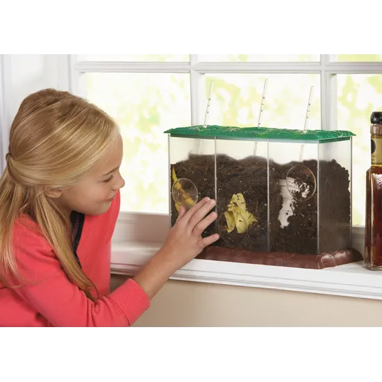 See-Through Compost Container - Modern Teaching Aids NZ