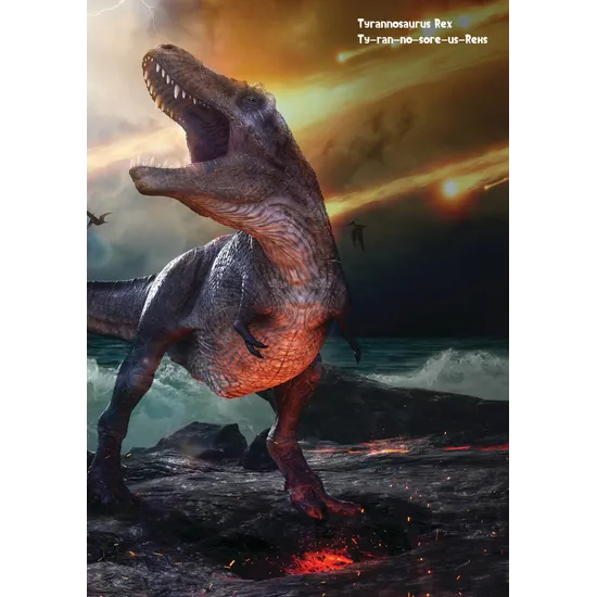 Dinos, Wings and Other Things - Modern Teaching Aids NZ