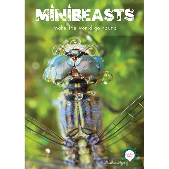 Minibeasts - Modern Teaching Aids NZ