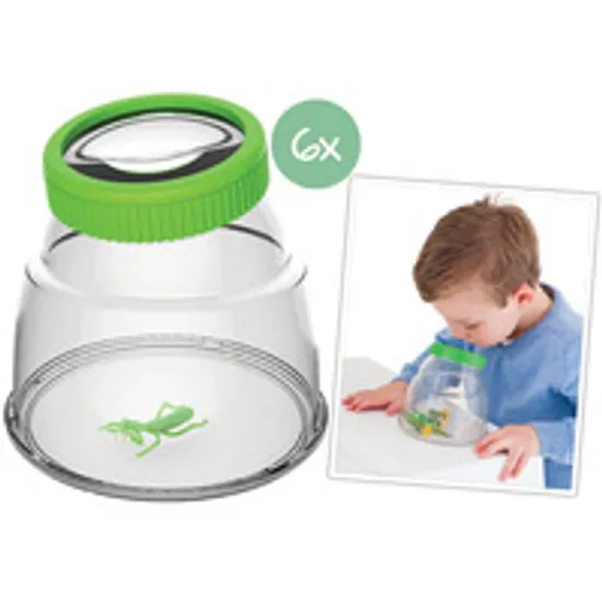 Giant Bug Viewer - Set of 6