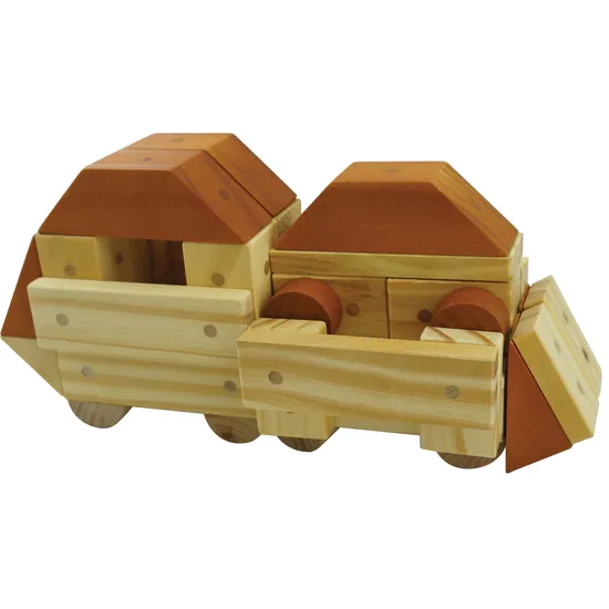 Magnetic Wooden Blocks Combo Set - 60 pieces - Modern Teaching Aids NZ