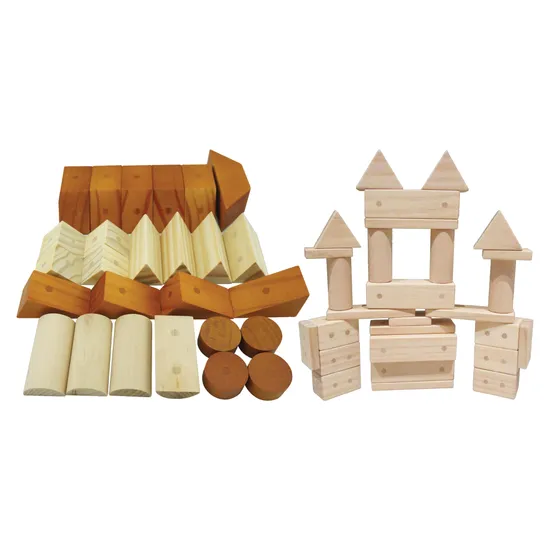 Magnetic Wooden Blocks Combo Set - 60 pieces - Modern Teaching Aids NZ