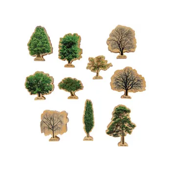 Tree Seasons - 10 Piecess - Modern Teaching Aids NZ