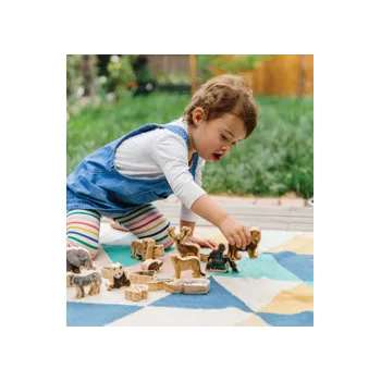 Wild Animals - 17 Pieces - Modern Teaching Aids NZ