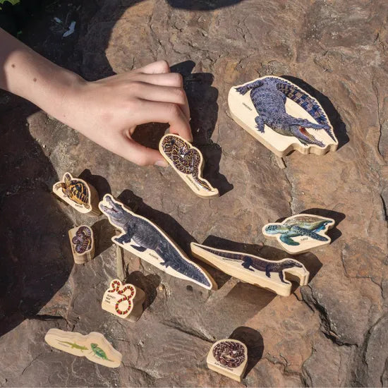 Reptiles in the Wild - 9 Pieces - Modern Teaching Aids NZ