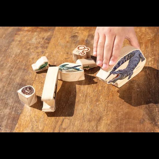 Reptiles in the Wild - 9 Pieces - Modern Teaching Aids NZ