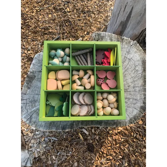 Nature's Sorting Box - Modern Teaching Aids NZ