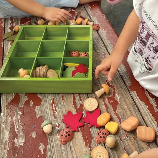 Nature's Sorting Box - Modern Teaching Aids NZ