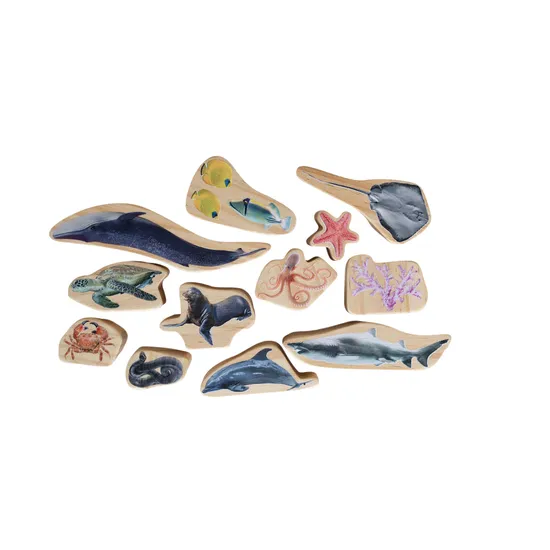 Under the Sea 12 Pieces