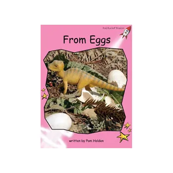 Pre-Reading Key Letters Non-Fiction Set A - Modern Teaching Aids NZ