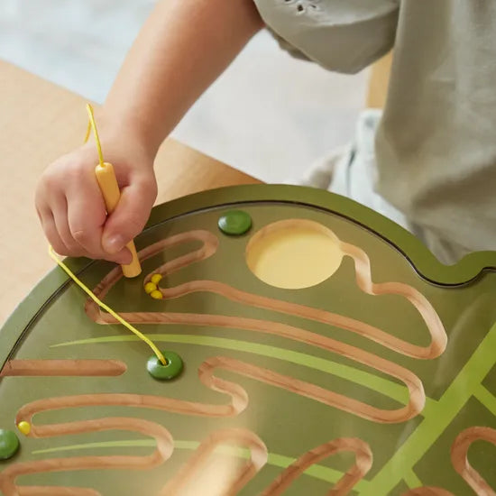 Nature's Paths Magnetic Leaf Mazes: Set of 3 - Modern Teaching Aids NZ