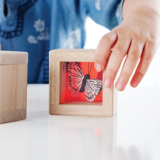 Treasure Blocks Coloured - Set of 8 - Modern Teaching Aids NZ