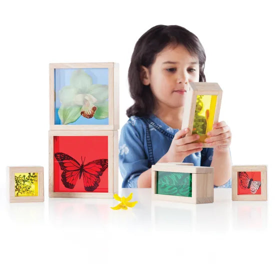 Treasure Blocks Coloured - Set of 8 - Modern Teaching Aids NZ