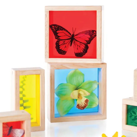 Treasure Blocks Coloured - Set of 8 - Modern Teaching Aids NZ