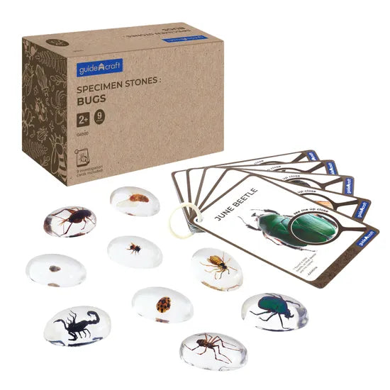 Specimen Stones: Bugs - Modern Teaching Aids NZ