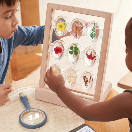 Specimen Stones Tabletop Stand - Modern Teaching Aids NZ