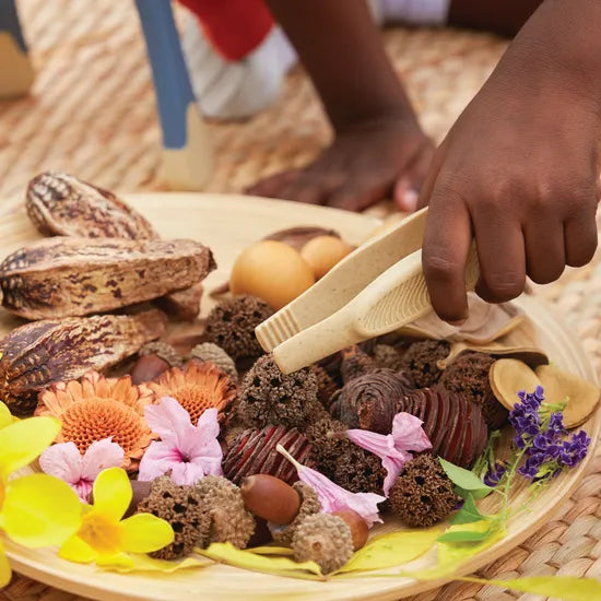 All-Weather Jumbo Tweezers - Set of 6 - Modern Teaching Aids NZ