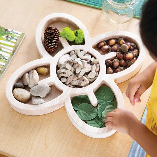 Loose Parts Organic Wooden Trays - Modern Teaching Aids NZ