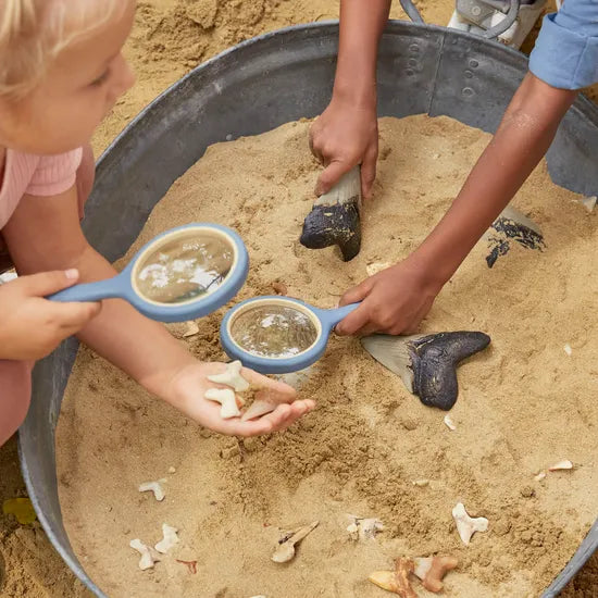 Super Shark Teeth Set - 40 Pieces - Modern Teaching Aids NZ
