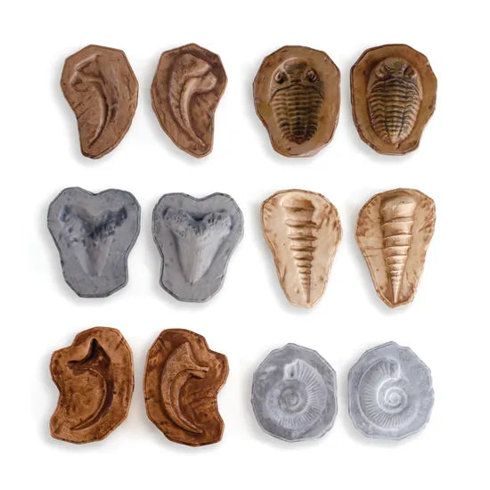 Magnetic Matching Fossil Stones - Set of 6 - Modern Teaching Aids NZ