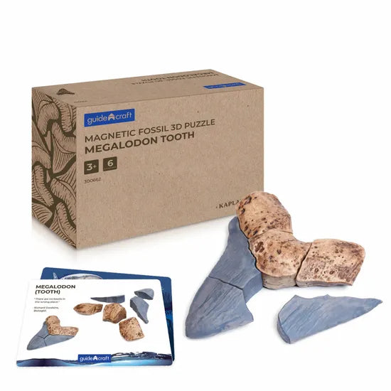 Magnetic Fossil 3D Puzzle - Megalodon Tooth - Modern Teaching Aids NZ
