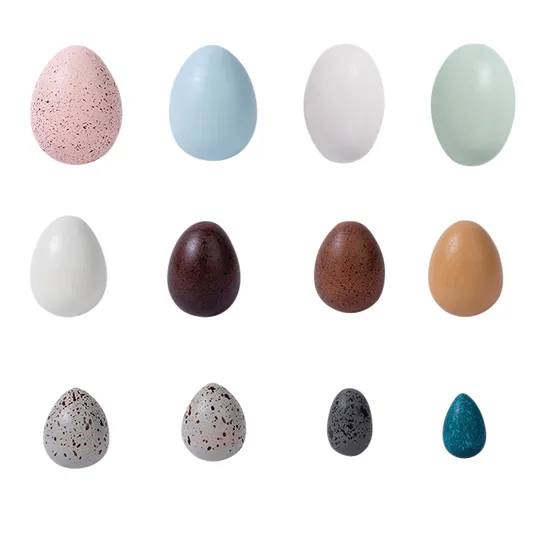 Wooden Sensory Bird Eggs 12 Pieces - Modern Teaching Aids NZ