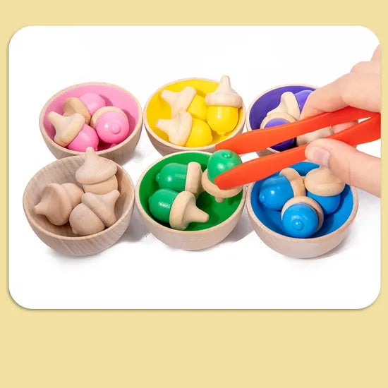 Colour Classify Toys 29pc - Modern Teaching Aids NZ
