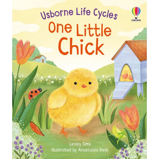 One Little Chick - Modern Teaching Aids NZ