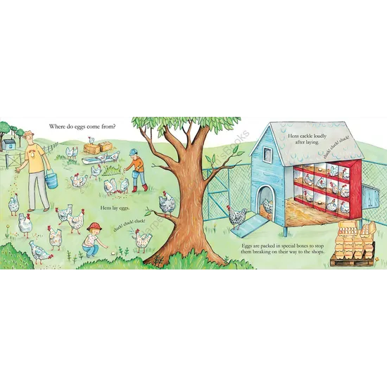 ABC Book Of Food - Modern Teaching Aids NZ