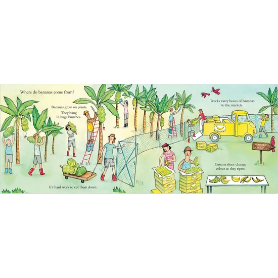 ABC Book Of Food - Modern Teaching Aids NZ