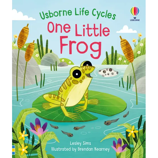 One Little Frog - Modern Teaching Aids NZ