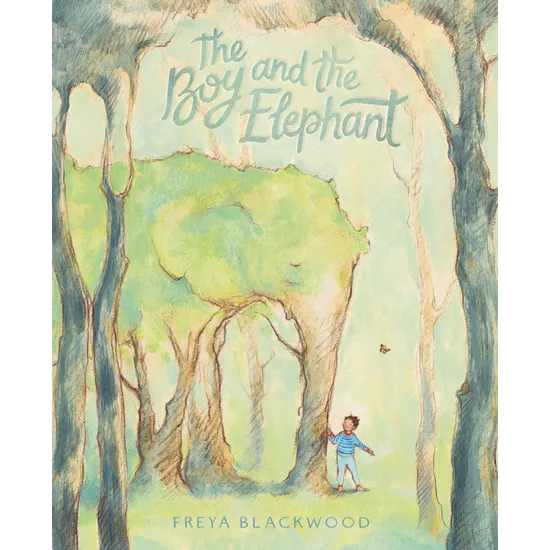 The Boy and the Elephant - Modern Teaching Aids NZ