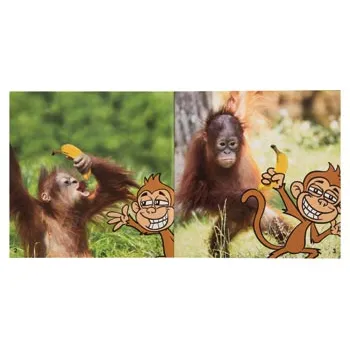 Wordless Books Set 18 Titles - Modern Teaching Aids NZ