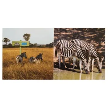 Wordless Books Set 18 Titles - Modern Teaching Aids NZ