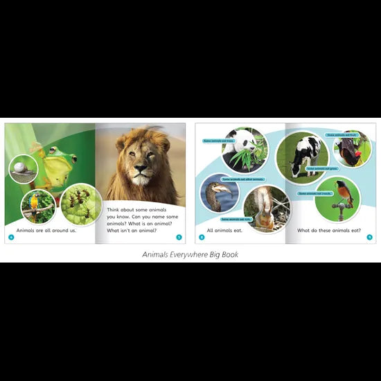 My World Big Books Set 5 Titles - Modern Teaching Aids NZ