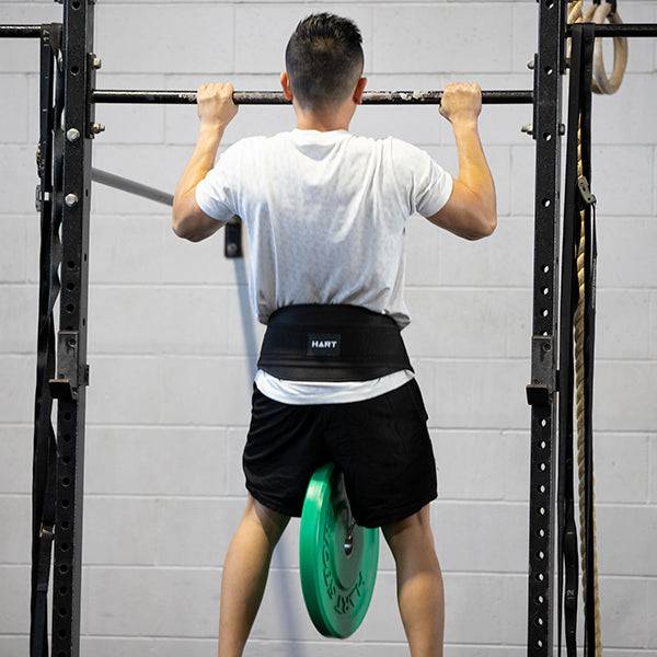 HART Dipping Belt - Modern Teaching Aids NZ