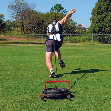 HART Shoulder Harness - Modern Teaching Aids NZ