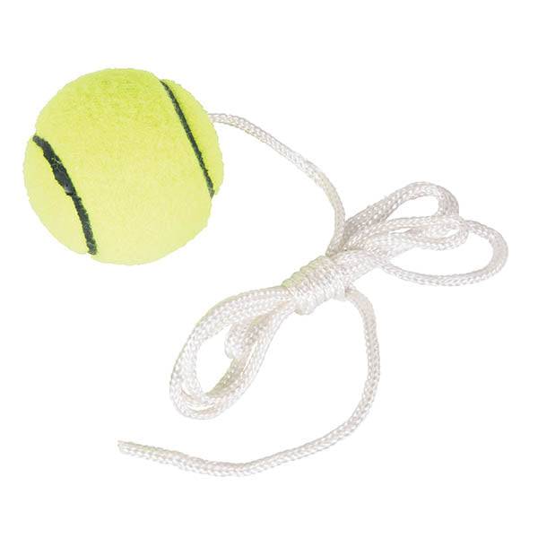 HART Swing Ball - Spare Ball - Modern Teaching Aids NZ
