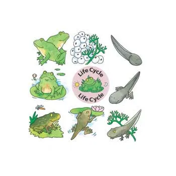 Lifecycle Jigsaws - Set of 4 - Modern Teaching Aids NZ