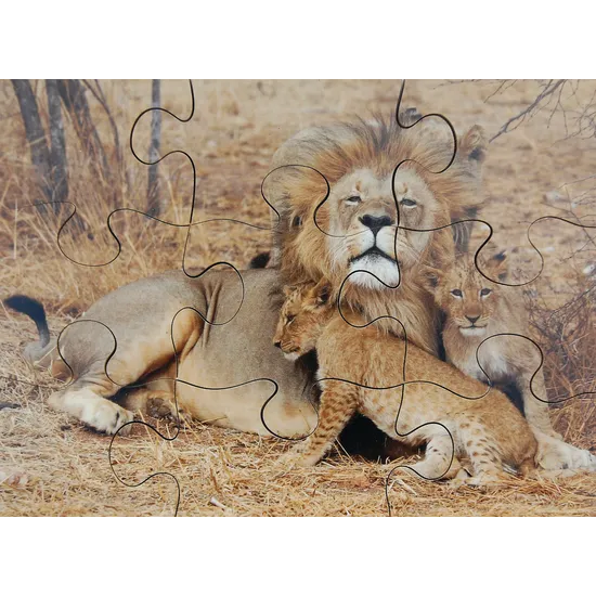 Mothers & Their Young Puzzles - Set of 8 - Modern Teaching Aids NZ