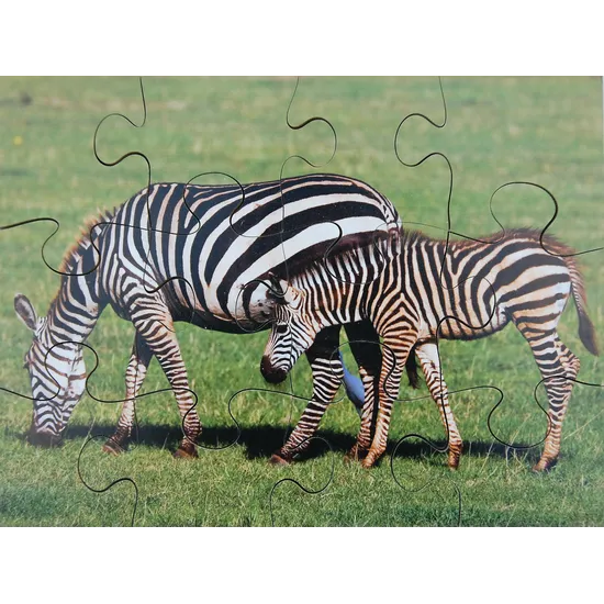 Mothers & Their Young Puzzles - Set of 8 - Modern Teaching Aids NZ