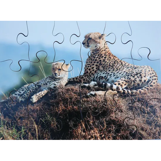 Mothers & Their Young Puzzles - Set of 8 - Modern Teaching Aids NZ